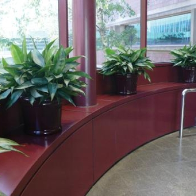 plant interiorscaping