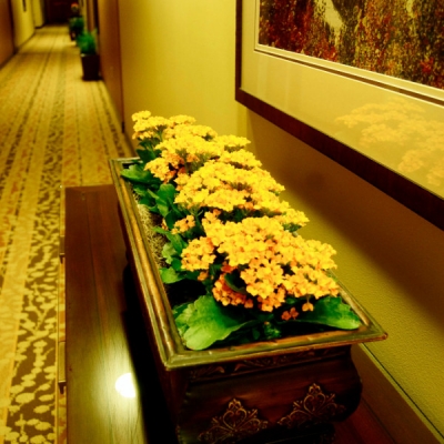 flower interiorscape design