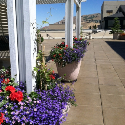 outdoor planters Midvale
