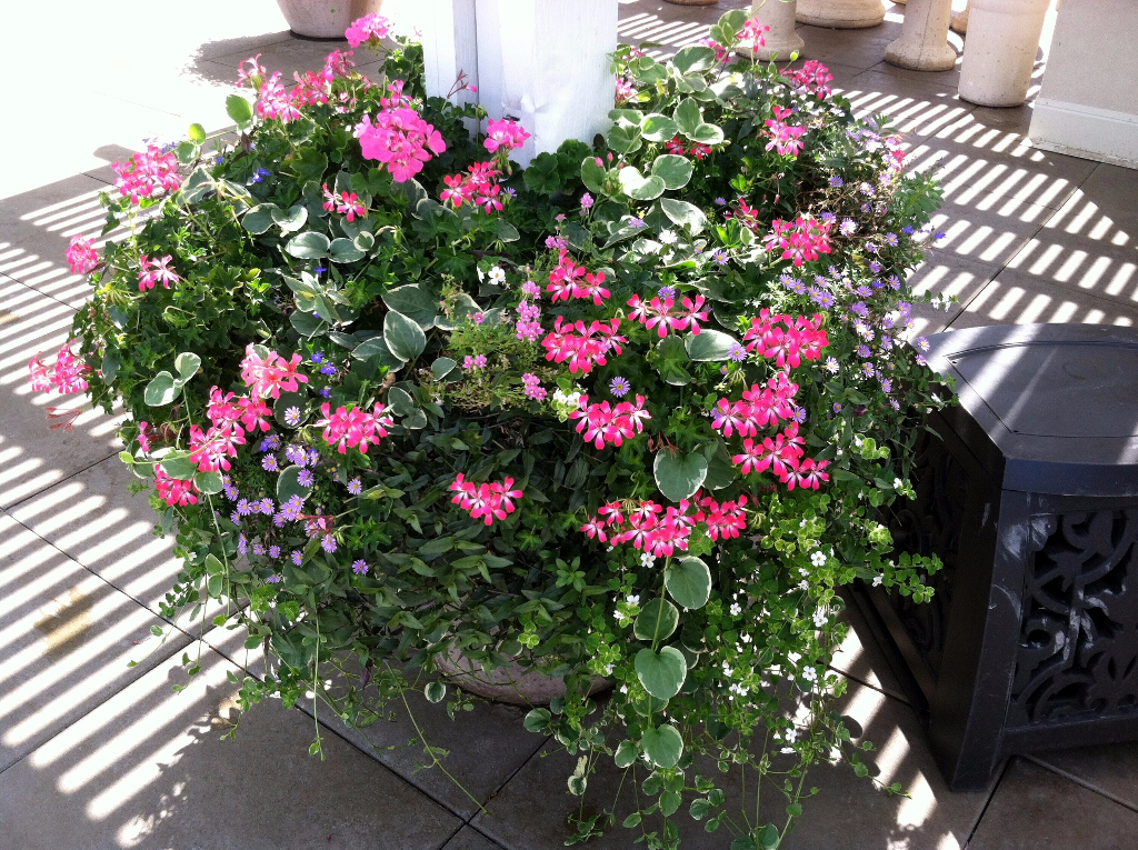 outdoor planters Midvale