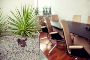 Office Plant Mistakes