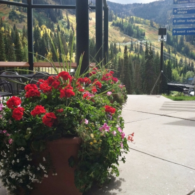 outdoor planters Utah