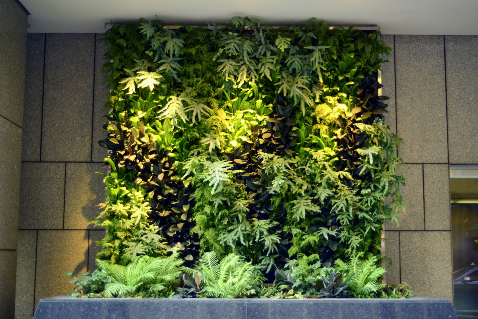 Beautify Your Office Interiorscape with a Living Vertical Garden