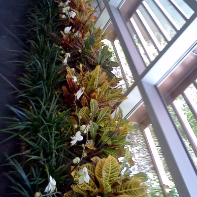 interior flower landscaping