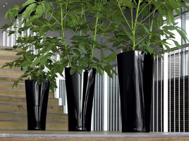 Indoor plant containers