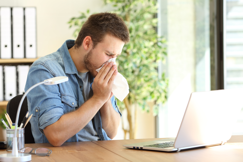 The Best – and Worst – Office Plants for Allergies